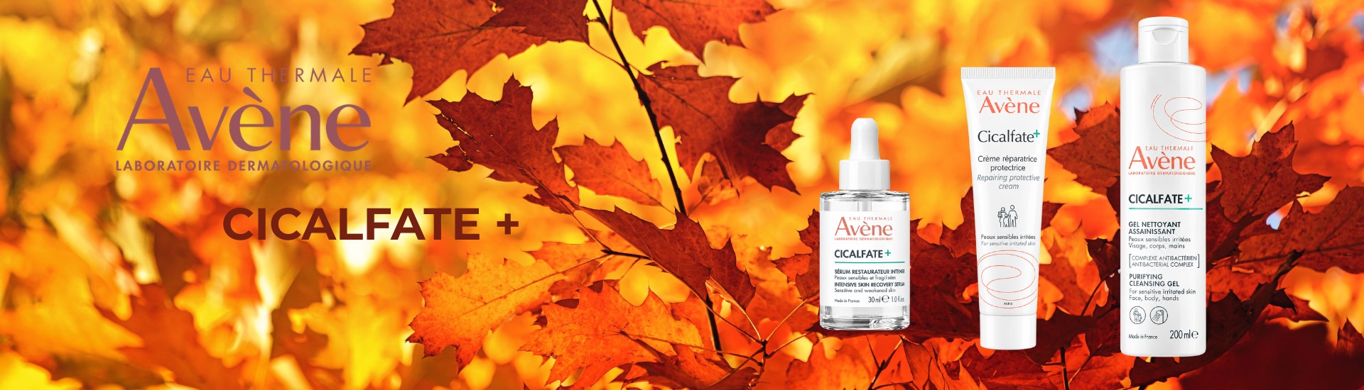 AVENE CICALFATE