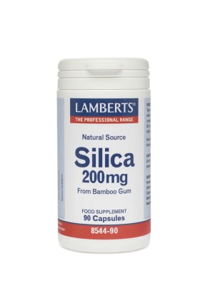 Lamberts Silica 200mg 90 Κάψουλες - Οξείδιο του Πυριτίου