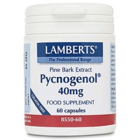 Lamberts Pycnogenol 40mg - Συμπλήρωμα διατροφής με Ισχυρή Αντιοξειδωτική Δράση 60 Κάψουλες