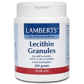 Lamberts Soya Lecithin Λεκιθίνη Μικρόκοκκοι granules 250g