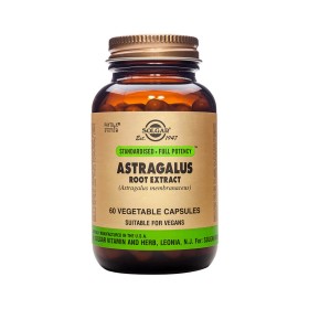 Solgar Astragalus Root Extract 60veg.caps – Συμπλήρωμα Διατροφής για Θωράκιση Ανοσοποιητικού & Ενίσχυση Αντοχής